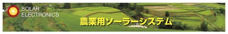 top.jpg